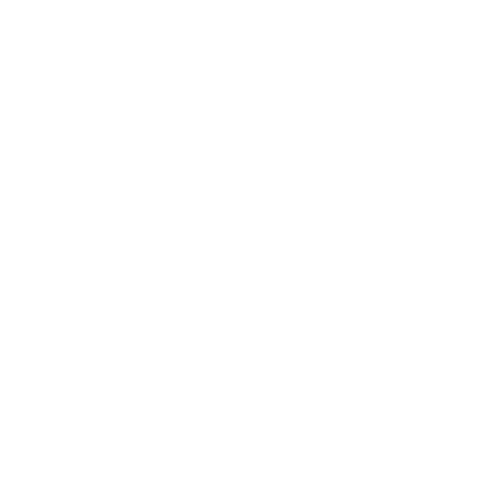 Zyluna white logo png