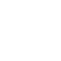 Zyluna white logo png